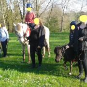 1 bapteme poney animations