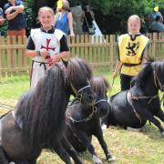 2 poneys assis animations