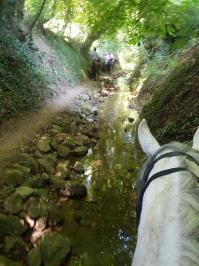 Balade à cheval