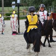 4 chevaliers a la joute animations 2